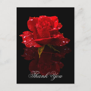 THANK YOU POSTCARD