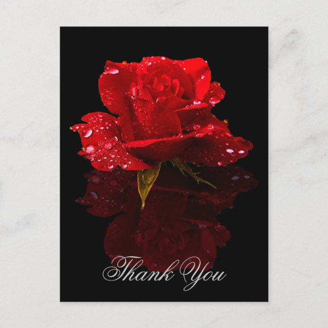 THANK YOU POSTCARD (Front)