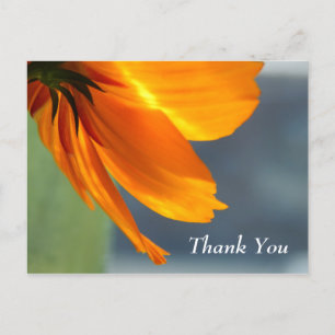 Thank You Postcard