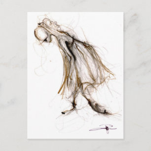 thank you postcard