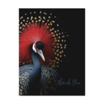 Thank-you Postcard
