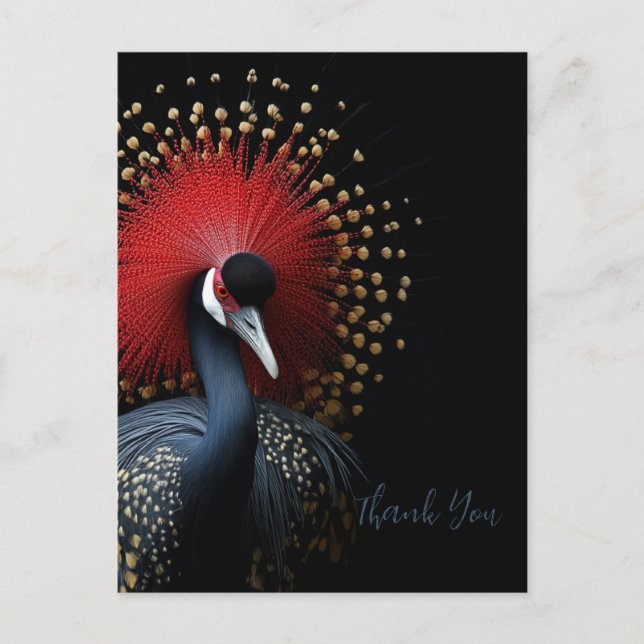 Thank-you Postcard (Front)