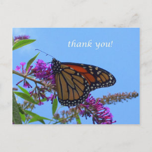Thank you postcard