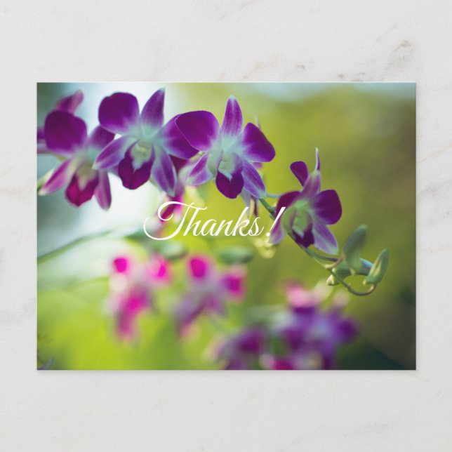 Thank You Postcard (Front)