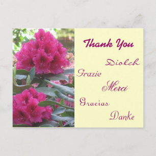 Thank You Postcard