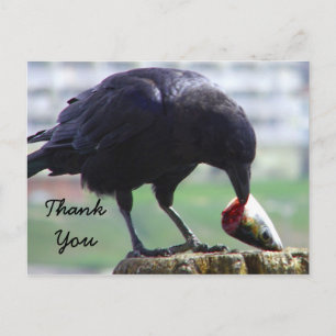 Thank You_ Postcard