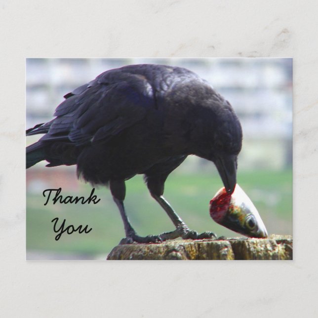 Thank You_ Postcard (Front)