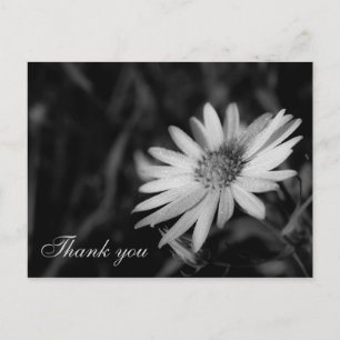 Thank you postcard