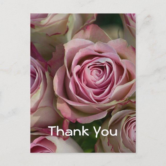 Thank You Postcard (Front)