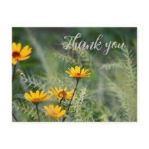 Thank you Postcard or Use Your Own Sentiment