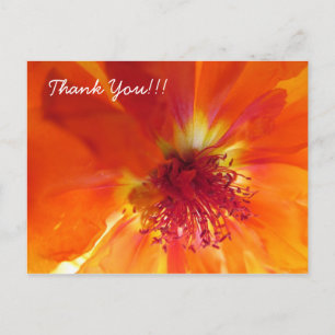 Thank You Postcard with orange flower