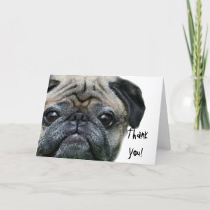 Thank You pug greeting card