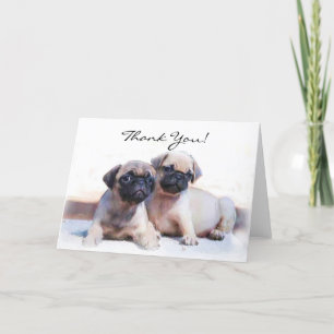 Thank You Pug puppies greeting card