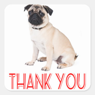 Thank You Pug Puppy Dog Greeting Sticker / Label