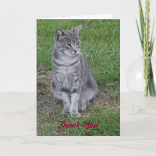 Thank You, Purrrfect Gift You Card