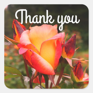 Thank You Rainbow Sorbet Rose #1 Stickers