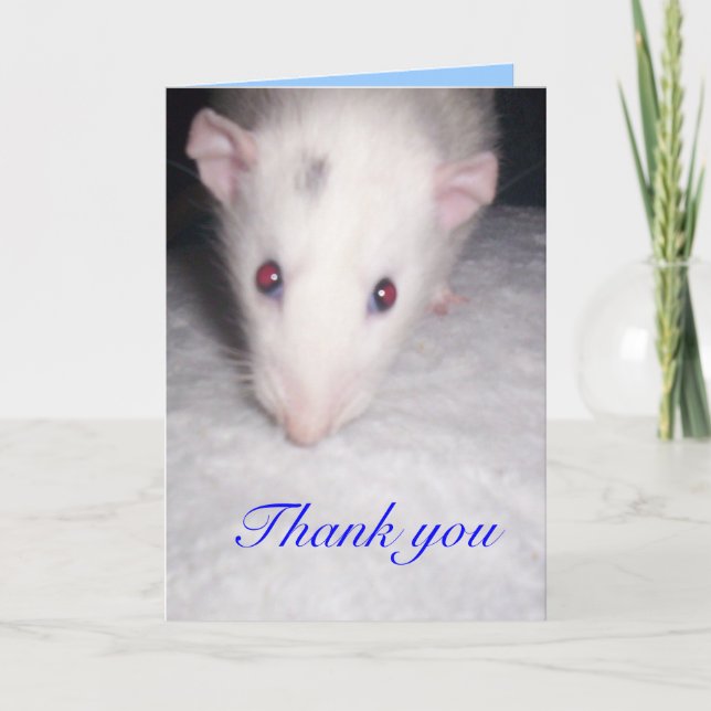 thank you rat card (Front)