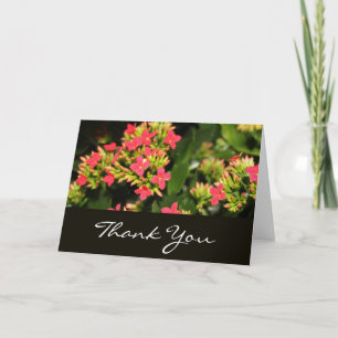 thank you, red flowers you card