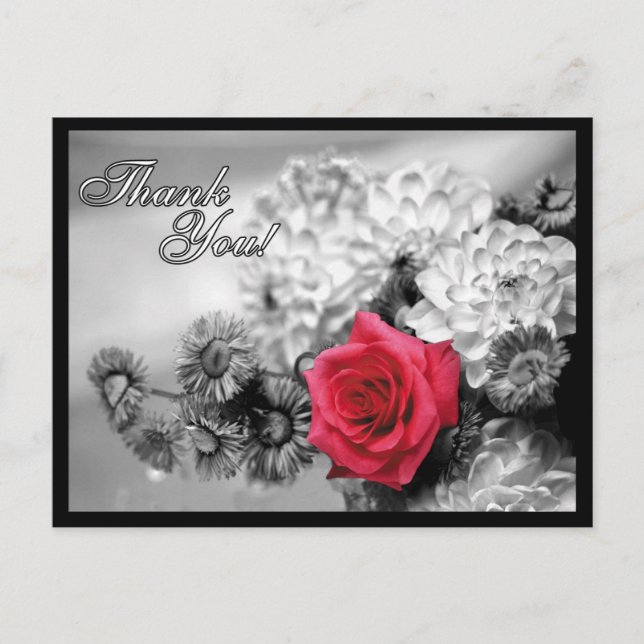 Thank You! Red Rose with Black / White Background Postcard (Front)