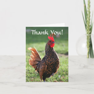 Thank You, Rooster You Card