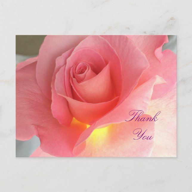 Thank you rose postcard (Front)