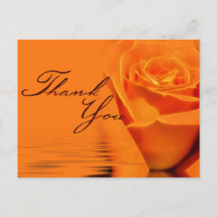 Thank You Rose Postcard