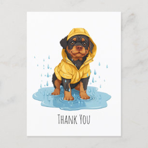 Thank You Rottweiler Dog Wearing Raincoat Postcard