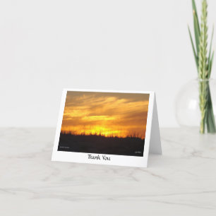 Thank You - scusset beach Card