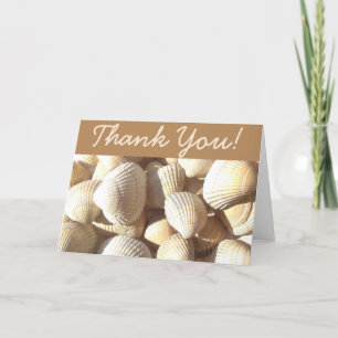 Thank You Sea Shells Sunny Tropical Exotic Beach
