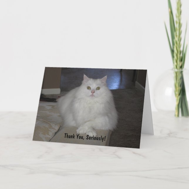 Thank You, Seriously! You Card (Front)