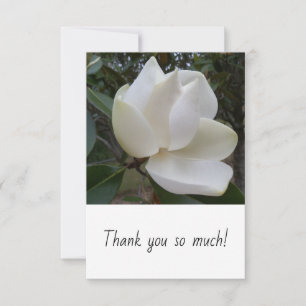 Thank you so much card