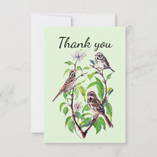 Thank You Sparrow Garden Bird Nature Art Card