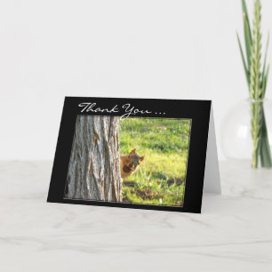 Thank You Squirrel greeting card