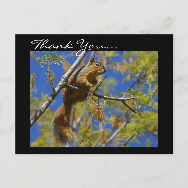 Thank You Squirrel postcard (Front)