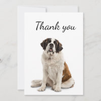 Thank You St. Bernard Dog Pet Animal 