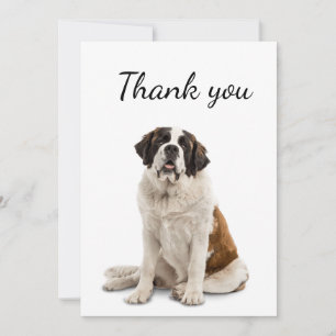 Thank You St. Bernard Dog Pet Animal  Card