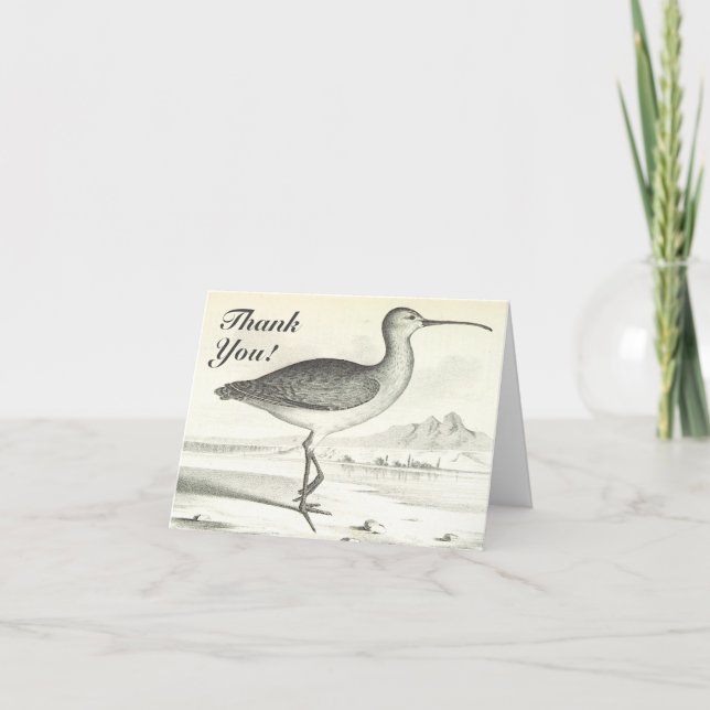 "Thank You!" + Standing Bird Thank You Card (Front)