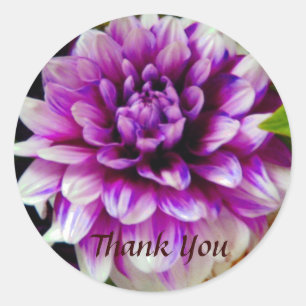 Thank You_ Sticker