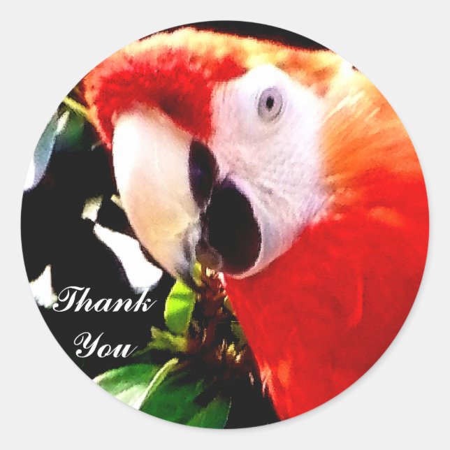Thank You_Sticker Classic Round Sticker (Front)