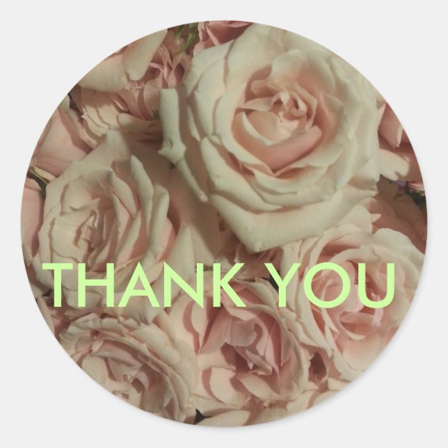 Thank you sticker rose pink rose background (Front)