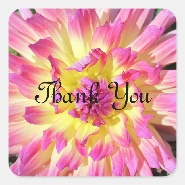 Thank You stickers (Front)