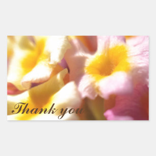 Thank You stickers