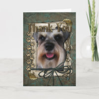 Thank You - Stone Paws - Schnauzer