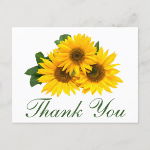 Thank You Sunflower Floral Greeting Post Card