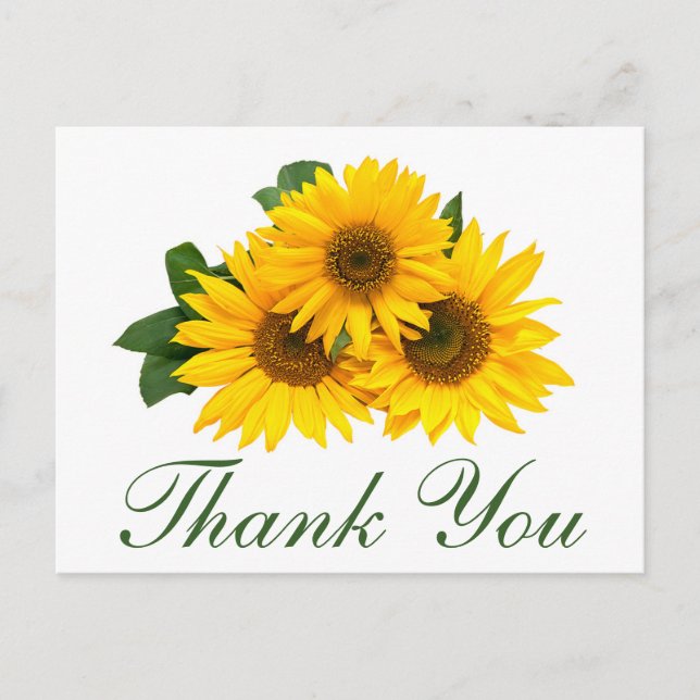 Thank You Sunflower Floral Greeting Post Card (Front)