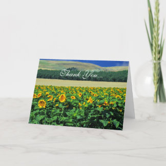 Thank you...Sunflowers You Card