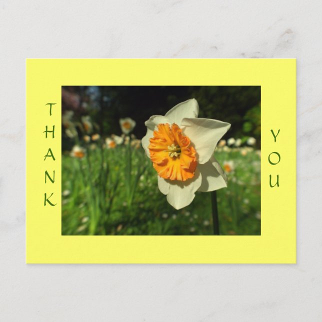 Thank you - sunshiny flower card (Front)