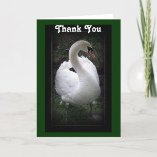Thank you - swan card