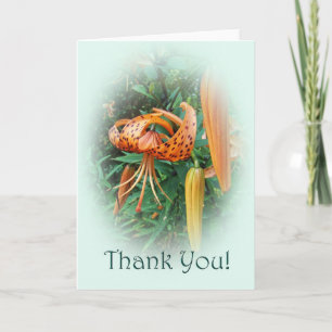 Thank You Turk's Cap Lily Wildflower Card