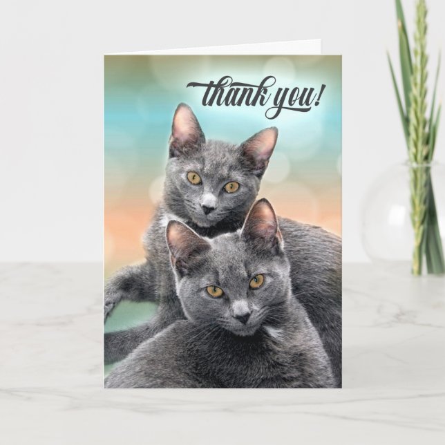 Thank You Two Grey Cats Card (Front)